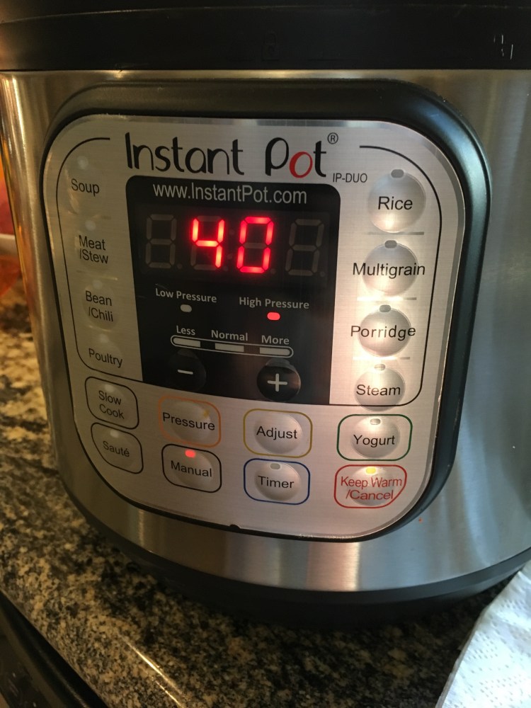 instant-pot-setting