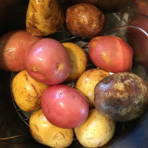 instant-pot-potatoes-water