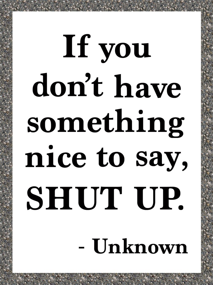 If you don't have something nice to say SHUT UP