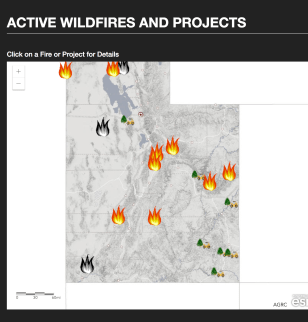 Screen Shot 2018-08-09 at 11.55.44 AM